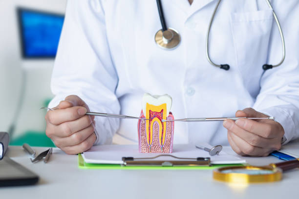 Best Emergency Dental Care for Broken or Chipped Teeth in New Rochelle, NY